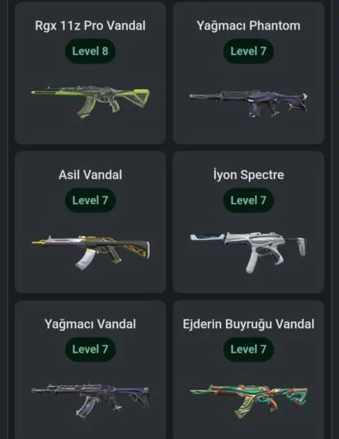 Valorant 21 paralı skinli hesabım